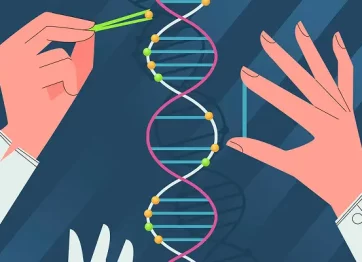 Illustrasi Dua tangan dokter sedang mengukur pengaruh hormon pertumbuhan terhadap tinggi badan