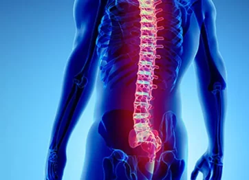 Laki-laki dari belakang ditunjukan X-Ray tulang belakang yang menunjukkan Sendi Sakroiliaka